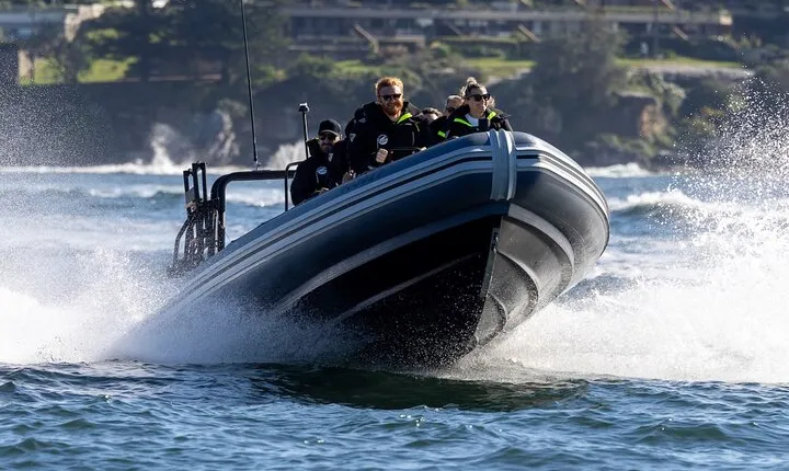 Sydney Whale Watching on Small RIB