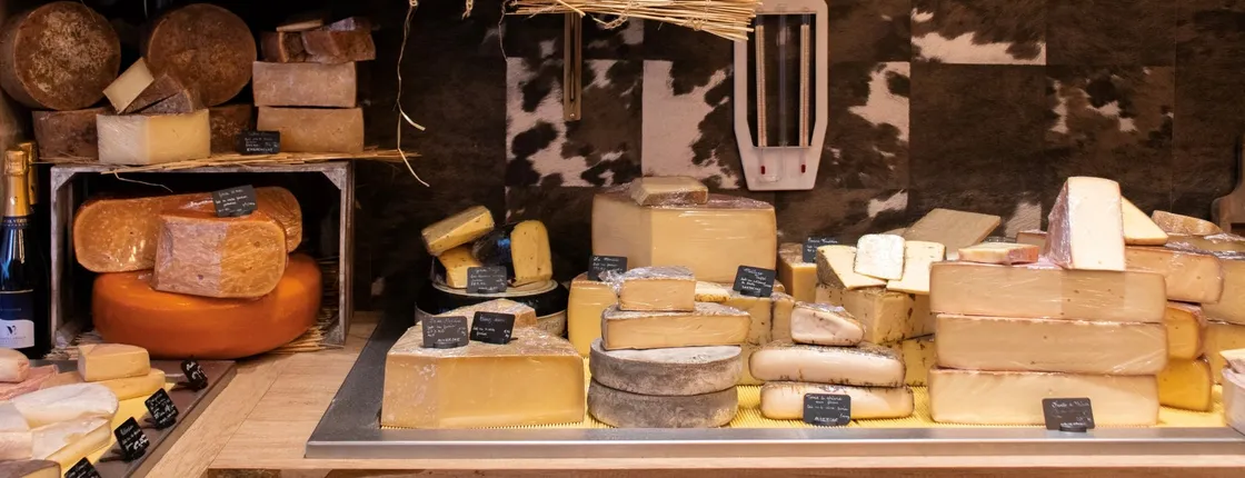 Gourmet city tour of Bordeaux
