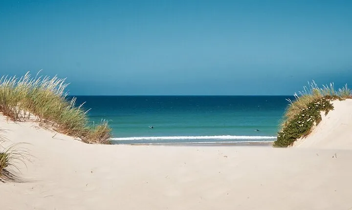 Surf Courses In Peniche and Baleal Portugal