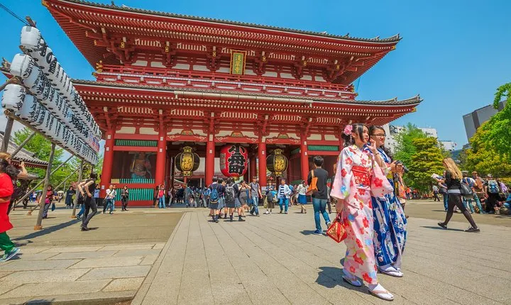 Tokyo Private Tour by Vehicle with English-Speaking Chauffeur