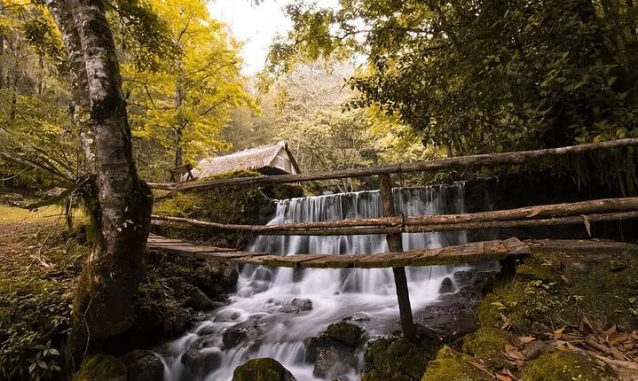 Full-Day Tour to the Rey Marcos Caves & Nature from Coban