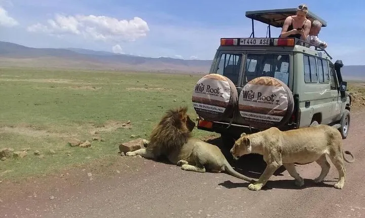 4: days Big five safari