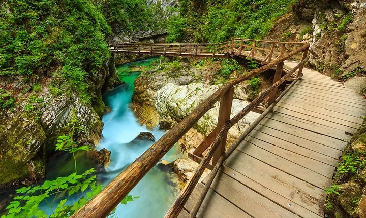 From Bled: Self-Guided E-Bike Tour to Vintgar Gorge