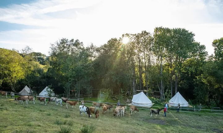 Surfing, Coasteering & Glamping in Cornwall
