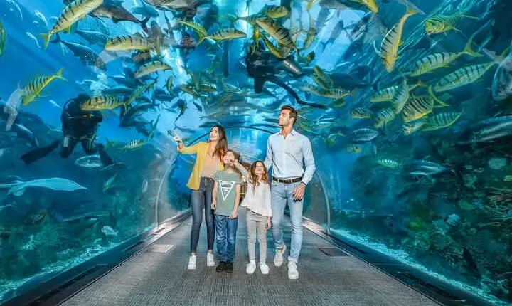 Dubai Aquarium and Underwater Zoo Tickets