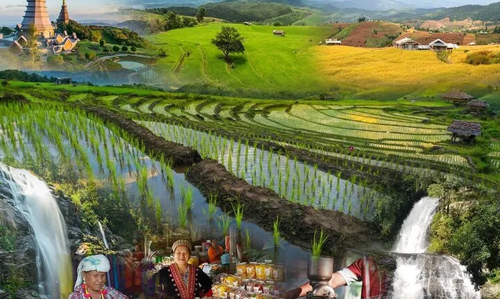 Pa Bong Piang Rice Terraces and Doi Inthanon Seasonal Day Tour