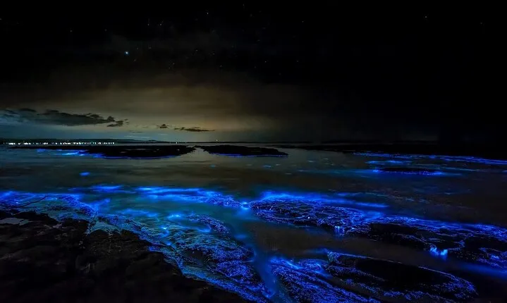 Bioluminescent Bay Adventure in Grand Cayman