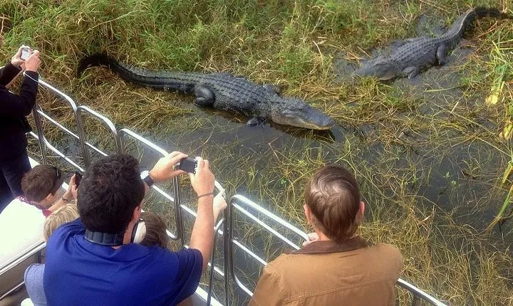 Central Florida Everglades Airboat Tour from Orlando