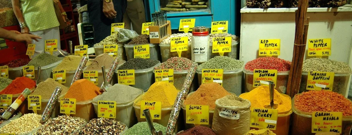 Shopping tour of Istanbul