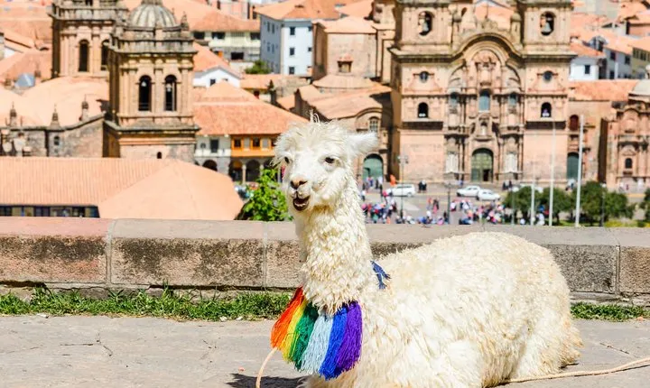 Half Day - Cusco City Essentials (Afternoon Group Tour)