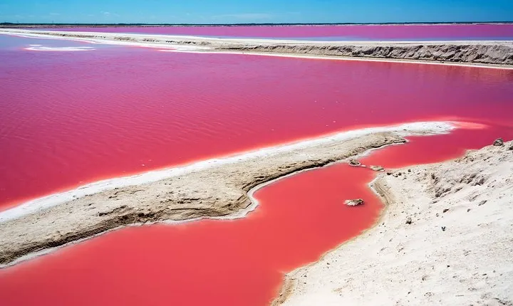 Ek Balam, Rio Lagartos and Las Coloradas Private Tour from Cancun