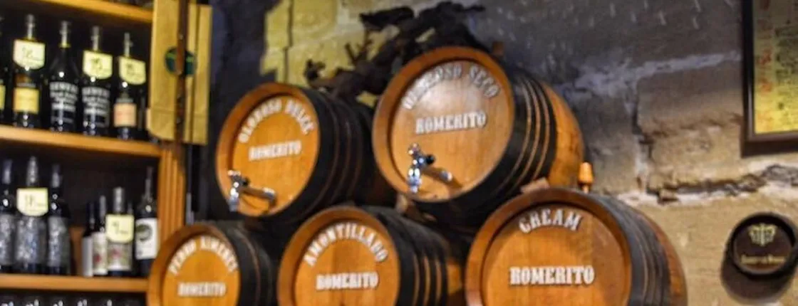 Jerez historic centre tour and tasting of 2 sherry wines