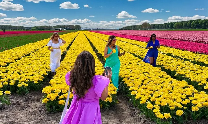 Amsterdam: Tulip Fields Day Tour with Lunch and a Windmill Visit