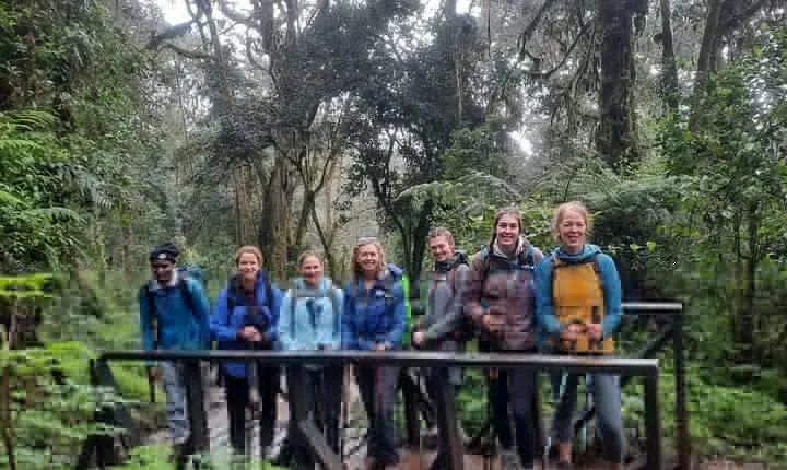 Mount Kilimanjaro Day Hike Through Marangu Route to Mandara Hut