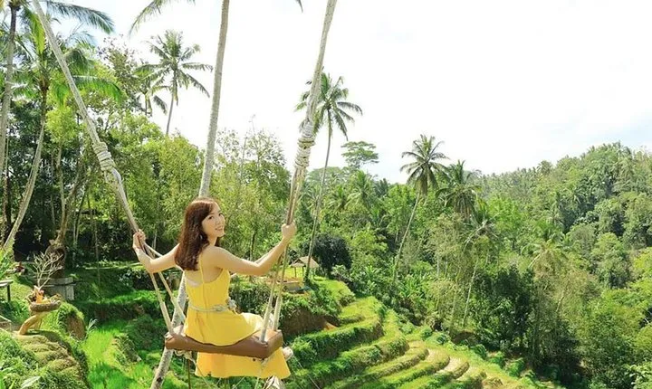 white water rafting and aloha swing