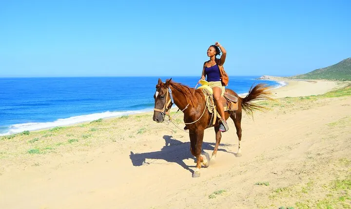 Horseback Riding Tour Los Cabos