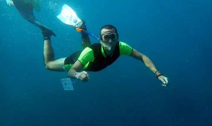Snorkeling excursion in Isla de Tabarca