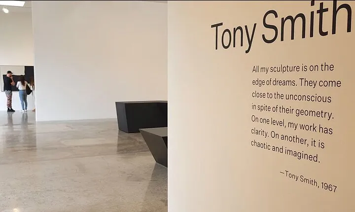 Art Openings in Los Angeles Saturday Night Private Tour by Aaron