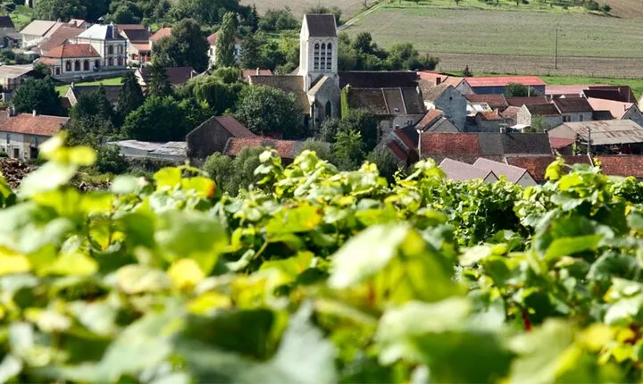 Taittinger Champagne Tastings Cellars Private trip from Paris