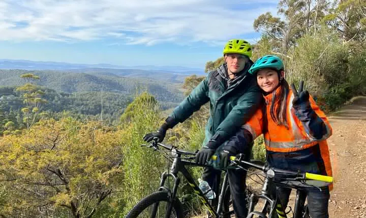 Easy Bike Tour - Mt Wellington Summit Descent & Rainforest Ride