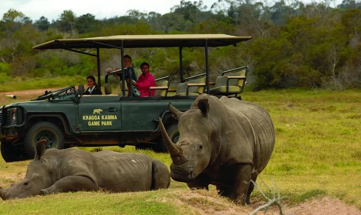 2hr Guided Game Drive at 10h00; Kragga Kamma Game Park Ticket