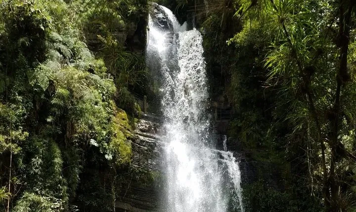 Full-Day Private Tour to La Chorrera Waterfall and El Chiflón