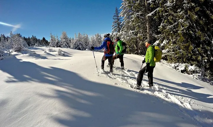 Snowshoes in the Pyrenees from Barcelona - Private Tour