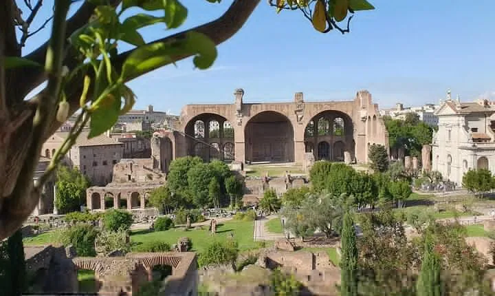 Roman Forum and Palatine Hill Access