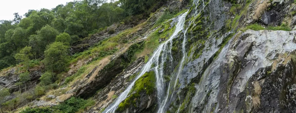 Wicklow, Glendalough, waterfall and sheepdog demo