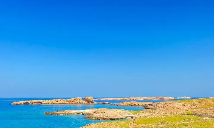 Snorkeling trips to Daymaniat Island