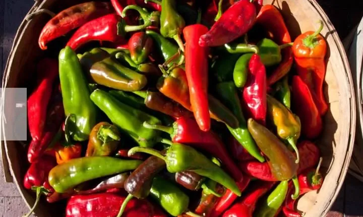 Chef-Guided New Mexican Lunch Immersion