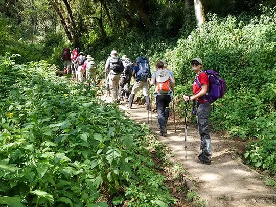 7 Day Kilimanjaro Climb - Machame route