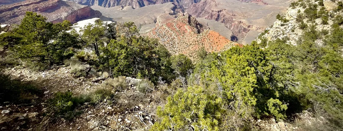 Private day tour to Grand Canyon South Rim with Sedona from Phoenix