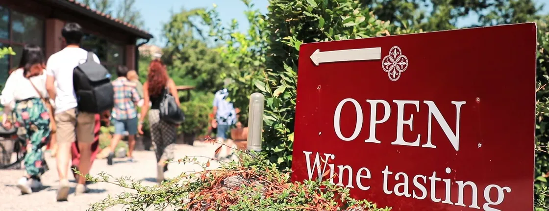 Chianti morning tour with wine and food tastings