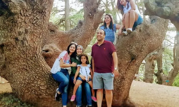 Sightseeing all-inclusive Private Tour to Cedars, Baalbek and Ksara