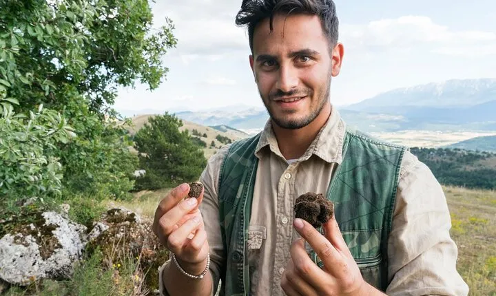 Private Truffles Hunting with Lunch from Florence 5 hours
