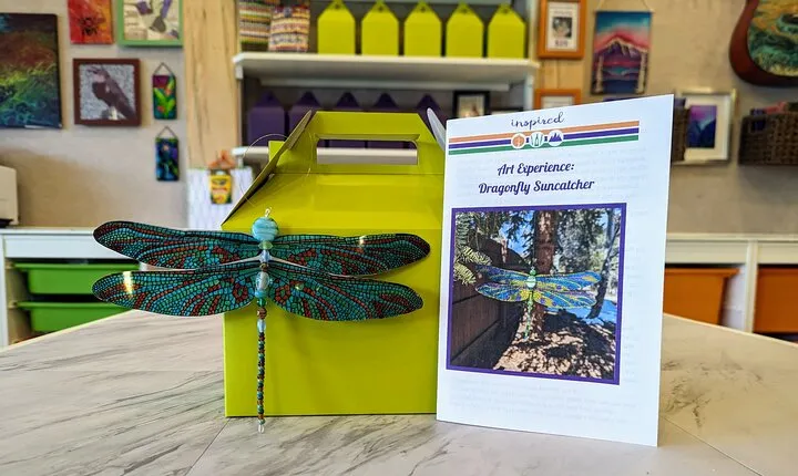 Dragonfly Suncatcher Art Kit in Estes Park