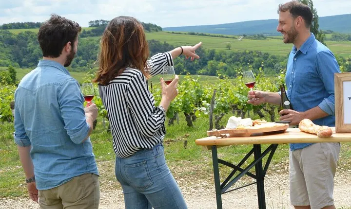 Chablis and Burgundy Wine Tour Run by Sommelier with Lunch