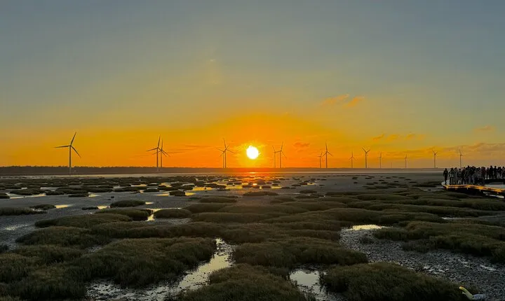 Trip from Taipei to Taichung Chung She Flower and Gaomei Wetland