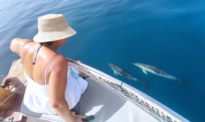 2 h Estepona Bay Tour
