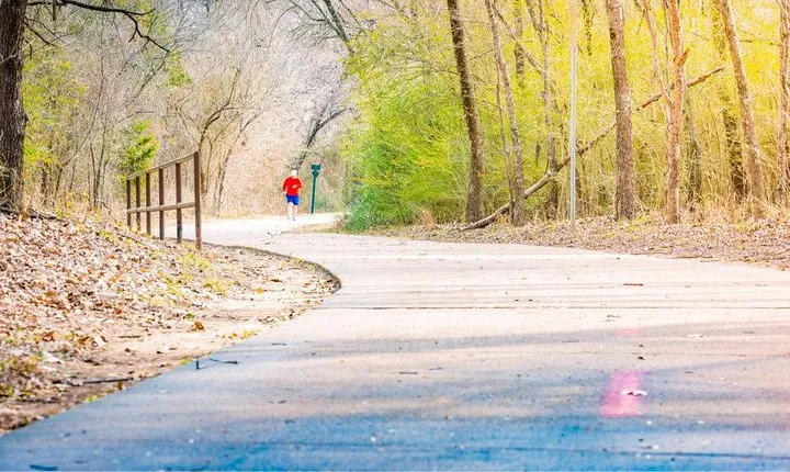 Self-Guided Arlington Scavenger Hunt: What Dreams Are Made Of