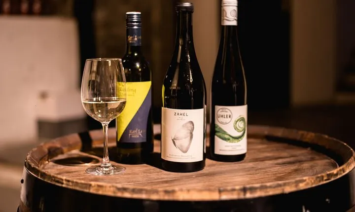 Viennese Wine Tasting in a Private Hidden Wine Cellar