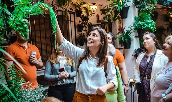 The best of Córdoba private tour