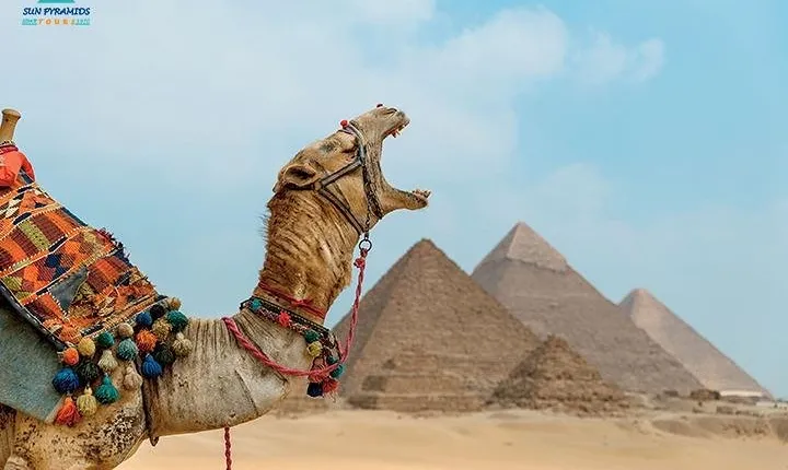 Cairo and Nile Cruise Tour