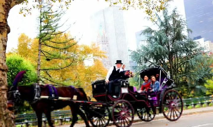 Central Park Horse Carriage Ride Short Loop (Up to 4 Adults))