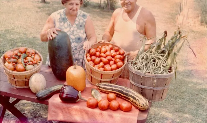 Mom and Pop Food Tour in Chinatown and Little Italy