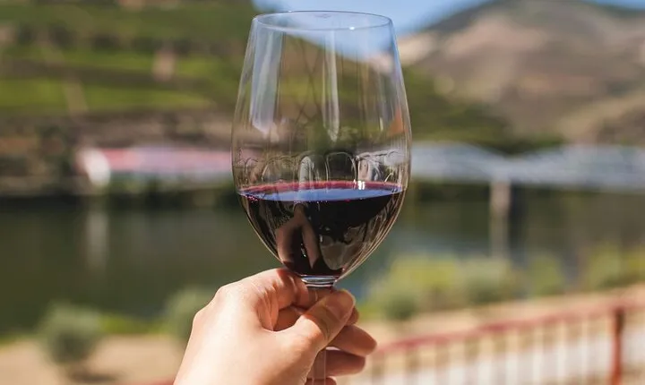 Douro Three Winery Small Group Tour with Lunch and Tastings