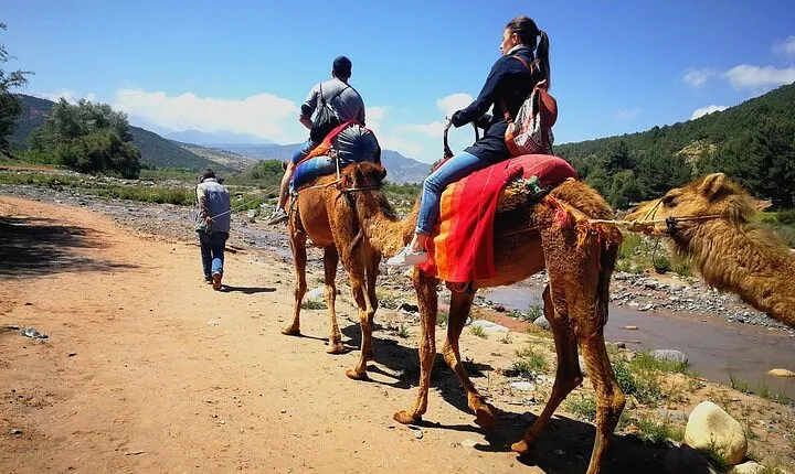 Atlas Mountians and Three valleys guieded Day Trip Including Lunch