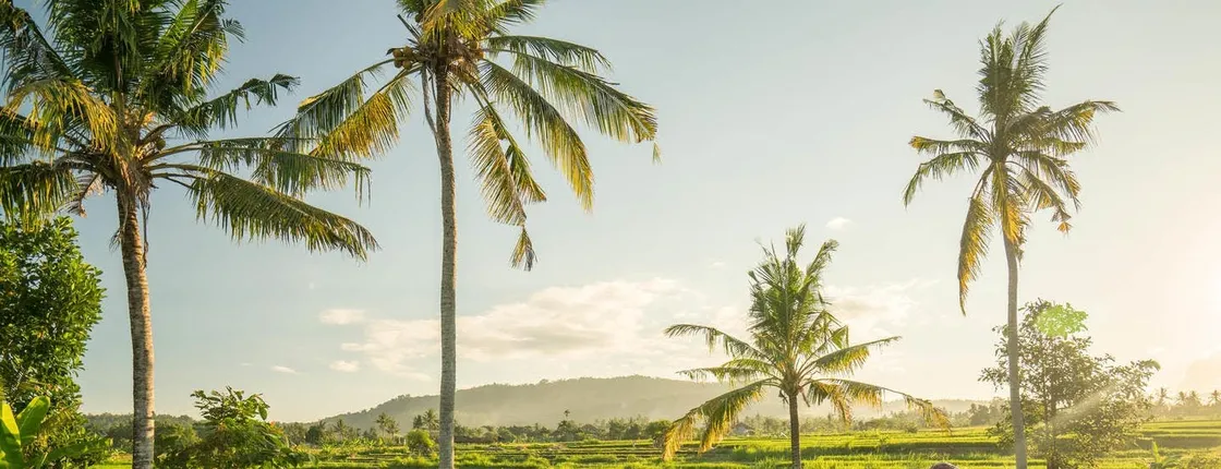 Full-day Ubud cycling and waterfall tour