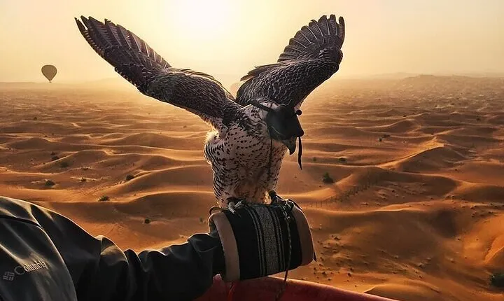 Amazing Dubai Beautiful Desert By Hot Air Balloon with Falcon Show